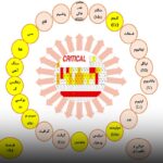 اجرای ۵راهکار ایمیدرو برای تامین مواد معدنی حیاتی